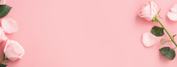 母亲节设计概念背景与粉红色的玫瑰花在粉红色的背景。图片下载