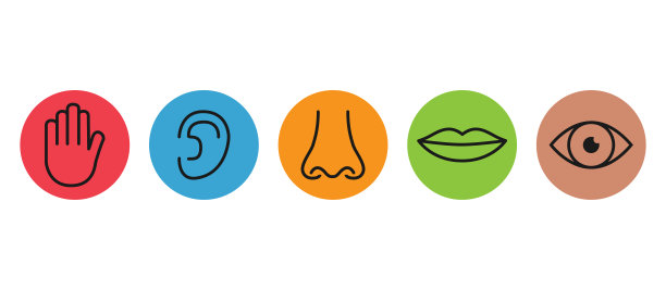 轮廓图标集五种人类感官:视觉、眼睛、嗅觉、鼻子、听觉、耳朵、触觉、手、味觉、嘴巴、舌头图片下载