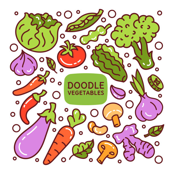 一组涂鸦元素蔬菜和叶子。饮食，健康食品，素食主义，纯素。餐厅菜单。图片下载