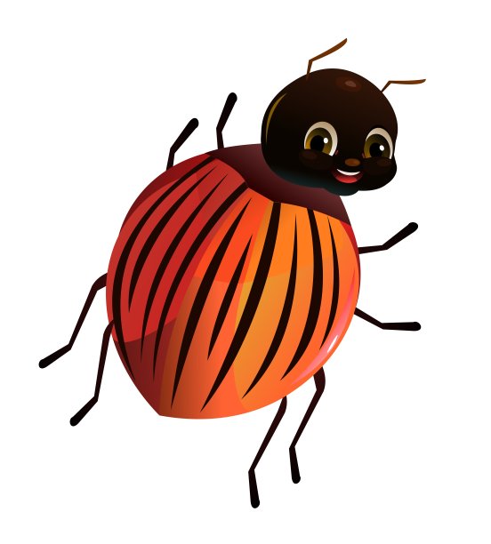 科罗拉多甲虫。从后面看。野生动物对象。一些有趣的昆虫。可爱的卡通风格。孤立的白色背景。向量图片下载