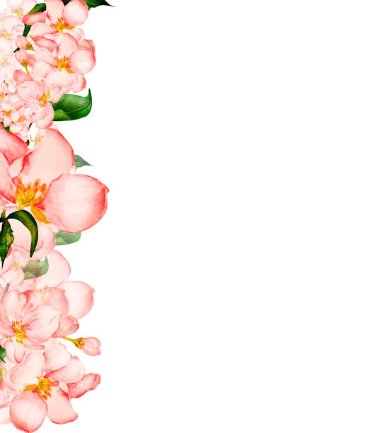 春天的樱花，盛开的苹果花，板水彩图片下载