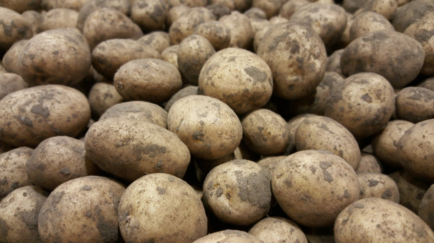 肮脏的土豆图片下载