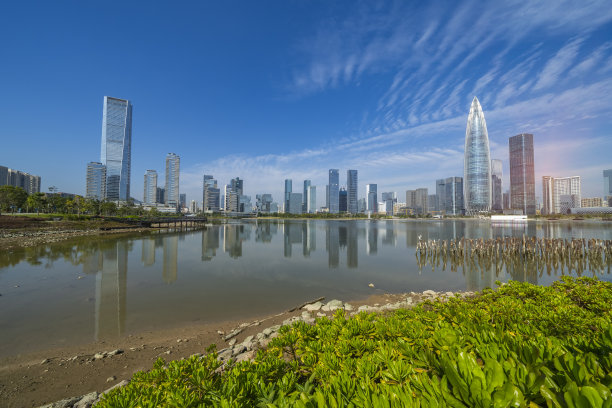 公园位于中国深圳，绿树与建筑、现代建筑、蓝天的美丽组合。图片下载