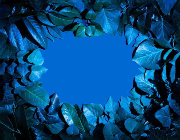 深蓝色霓虹灯自然设计，清新的树叶和复制空间。夏夜组成。由绿叶做成的创意布局。平的。自然背景。图片下载