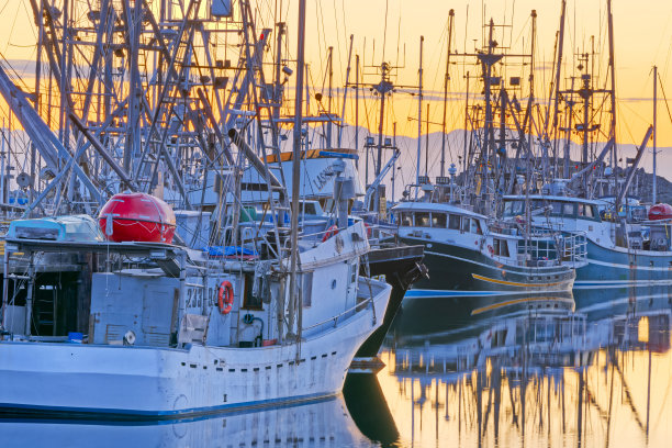 不列颠哥伦比亚省温哥华岛图片下载
