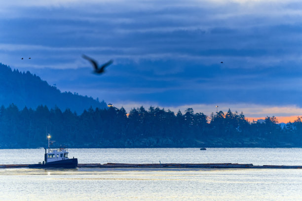 维多利亚,温哥华岛图片下载