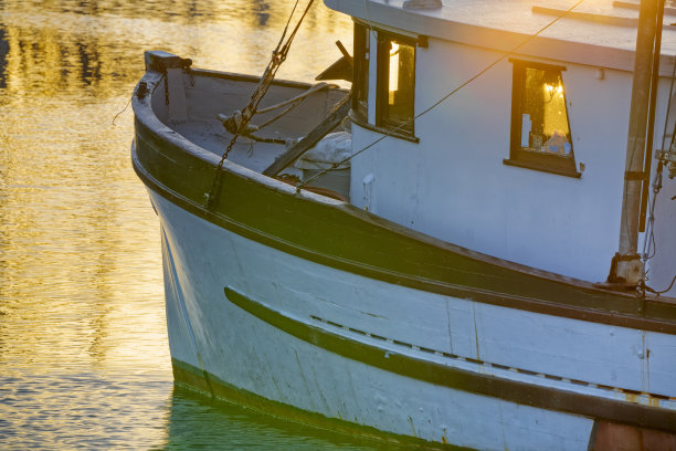 不列颠哥伦比亚省温哥华岛图片下载