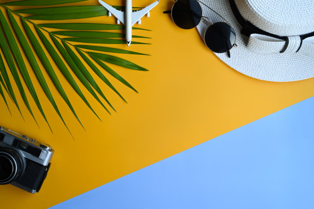 旅行者配件太阳镜，帽子，复古相机和热带棕榈叶黄色背景与复制空间。图片下载