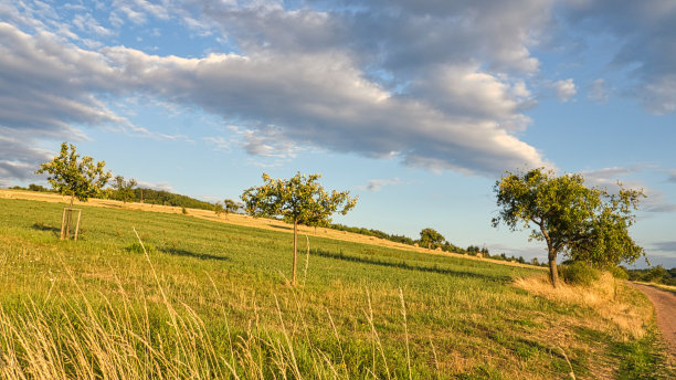苹果树在草地前的一个麦草捆。收获的季节图片下载