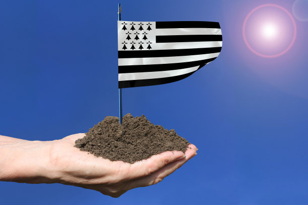 双手捧着泥土，举着布列塔尼旗帜布列塔尼农业晴空万里光晕图片下载