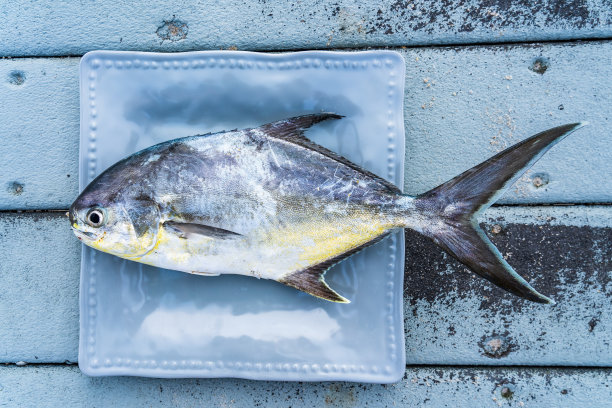 在佛罗里达州墨尔本海滩的海滩上，新鲜捕获的银黄色鲳鲹放在盘子里图片下载