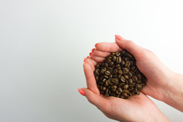 女性的手握着咖啡豆，从头顶俯瞰图片下载