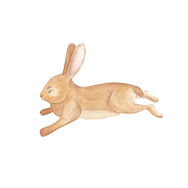 可爱的兔子水彩上的白色背景。孩子们的水彩插图。森林动物的儿童印花。为孩子们手绘的人物，贺卡设计，明信片和更多。图片下载
