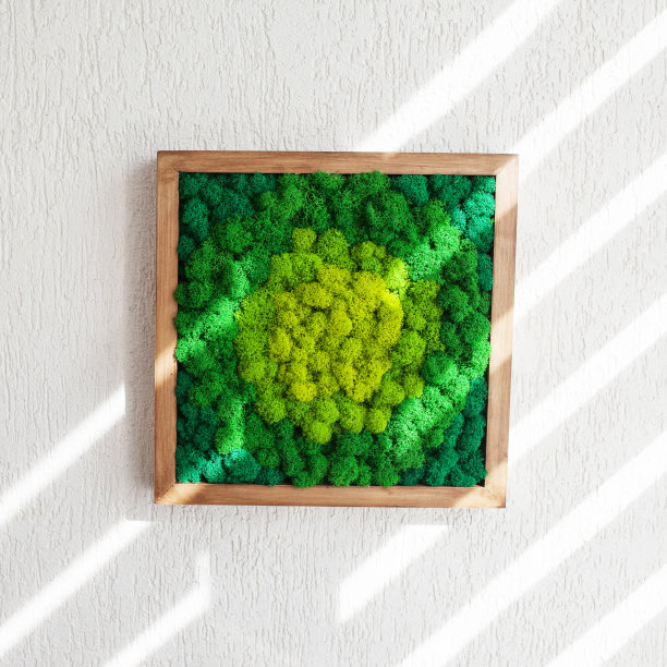 稳定了内部的五彩冰岛苔藓。墙板上的绿色苔藓。墙面装饰用苔藓。绿色苔藓纹理在木框，背景。本空间图片下载
