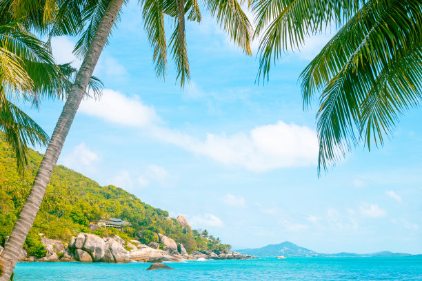 热带景观。有棕榈树和山脉的海滨。旅行和旅游图片下载