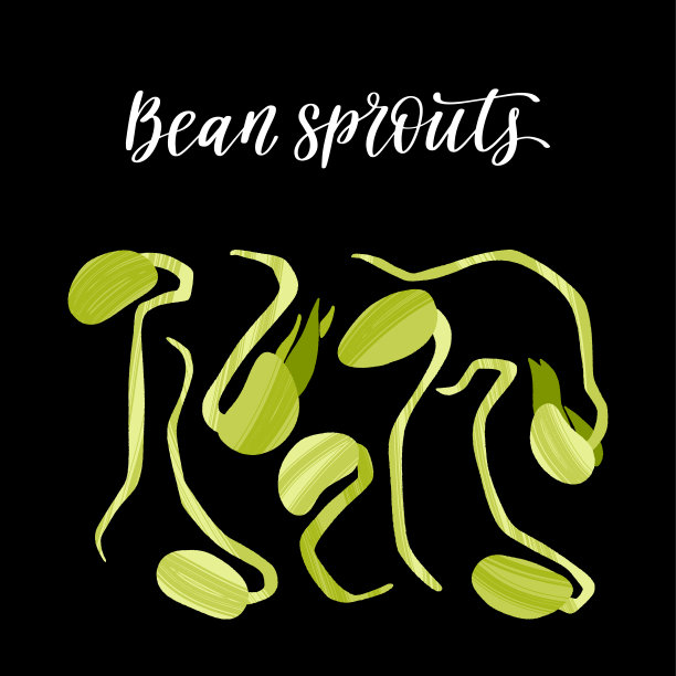 新鲜的微绿豆芽。健康营养的产品。图片下载