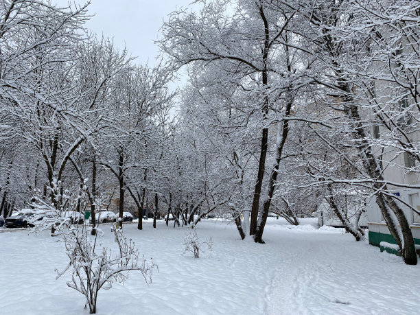 冬天在阴天的城市院子里下雪图片下载