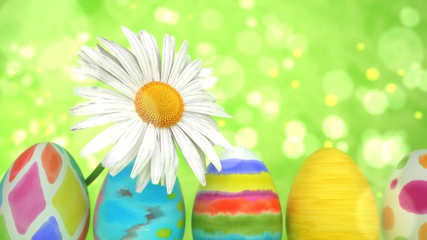 复活节彩蛋雏菊花图片下载