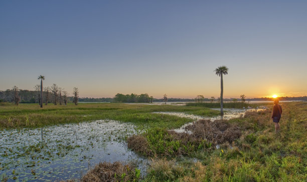 在美国佛罗里达州中部，徒步旅行者在充满活力的日出中享受美丽的奥兰多湿地公园图片下载