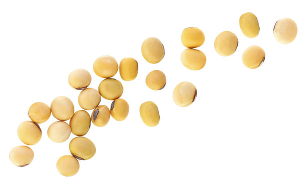 大豆孤立在白色背景，俯视图。干大豆。图片下载