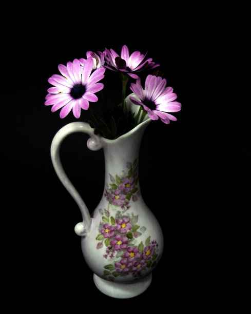 粉红色和白色的非洲雏菊花在一个装饰花瓶上孤立的黑色背景。图片下载