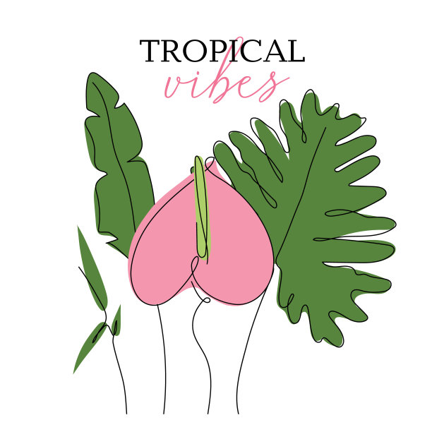 热带隔离成分外来大叶，竹子，夏威夷花，红掌。轮廓矢量插图亲生物可以用来在婚礼请柬中手绘一条线的艺术风格。图片下载
