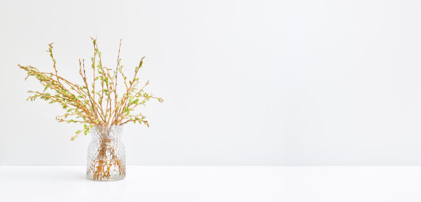 花瓶里的带芽和绿叶的树枝。带有复制空间的Spring背景图片下载