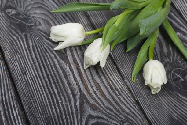 黑色松木板上的白色郁金香花束。图片下载