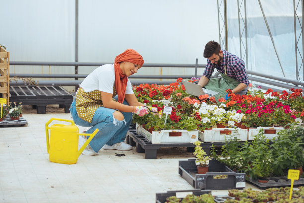 年轻的穆斯林可爱的夫妇在自己的花店一起工作的肖像。图片下载