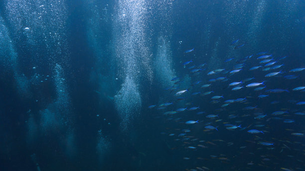 幻想水下世界和宇宙图片下载