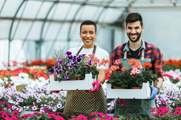 可爱的花匠夫妇在温室里摆弄绣球花。图片下载