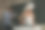 亲爱的，你不会迟到的图片下载