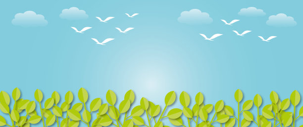 蓝色天空背景与鸟，云和阳光的全景图。为大自然设计模板。图片下载
