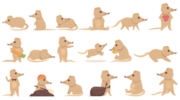 悍妇图标设置卡通向量。农业动物图片下载