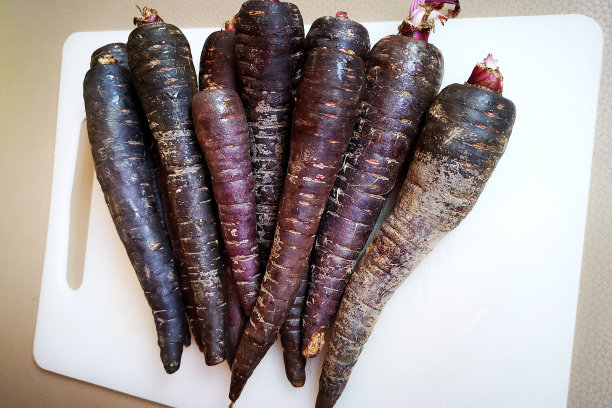 紫色胡萝卜图片下载