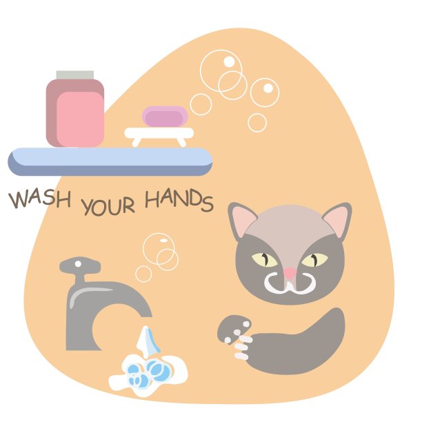 一组正在洗手的动物。图片下载