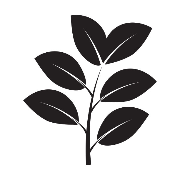 剪影枝叶。图案用于装饰设计。叶装饰。矢量插图。股票的形象。图片下载