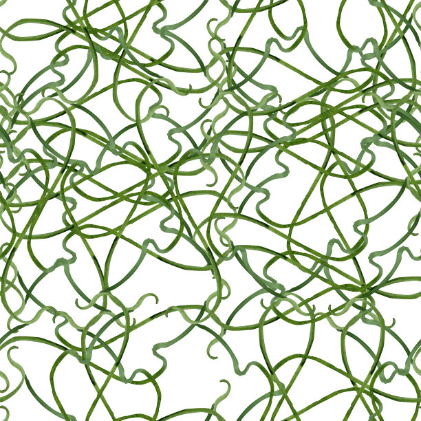 绿色豌豆梗水彩无缝图案图片下载