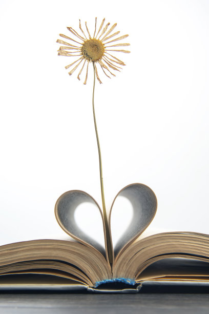 书里有干花。植物标本图片下载