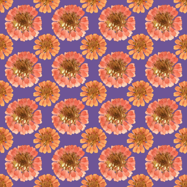 Zinnia。插图，花的纹理。连续复制的无缝模式。花卉背景，照片拼贴纺织品，棉织物。墙纸，封面，打印图片下载