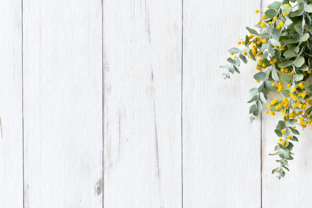 白色天然木板和干花图片下载