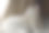在宠物床上放松猫图片下载