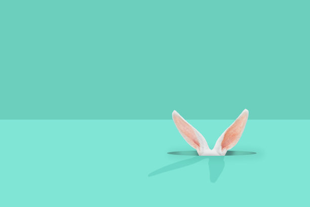 一只白色的复活节兔子从一个洞里向外窥视在一个粉彩蒂凡尼绿色的背景上。创意极小的复活节概念，写空间，复制空间图片下载