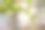 田野里的桃花图片下载