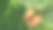 夏日花园，草地上的日光浴躺椅，鸟瞰图，绿色的公园树木和从上面放松的地方图片下载