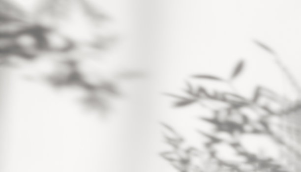 抽象剪影白色背景的自然树叶，树枝落在墙上。图片下载