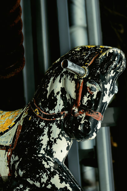 垃圾堆里的老马图片下载