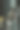 垃圾堆里的老马图片下载