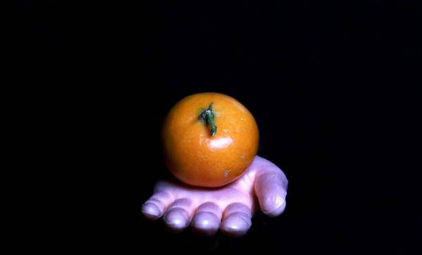 塑料或橡胶手拿橘子或橘子图片下载