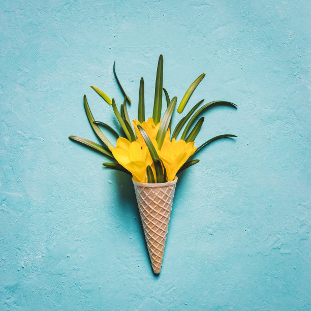 以蓝绿色纹理为背景的黄花冰淇淋蛋筒图片下载